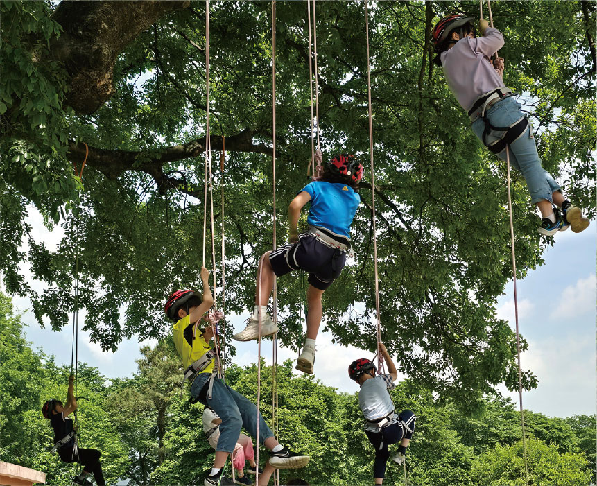 숲놀이 (트리클라이밍, 밧줄 놀이)