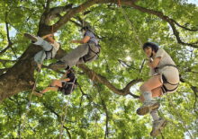 구례 용방초 트리클라이밍체험