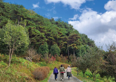 생태스토리텔링